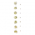 Silver/Gold Foil